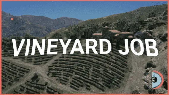 Full Vineyard Winemaking Job FiveM script preview
